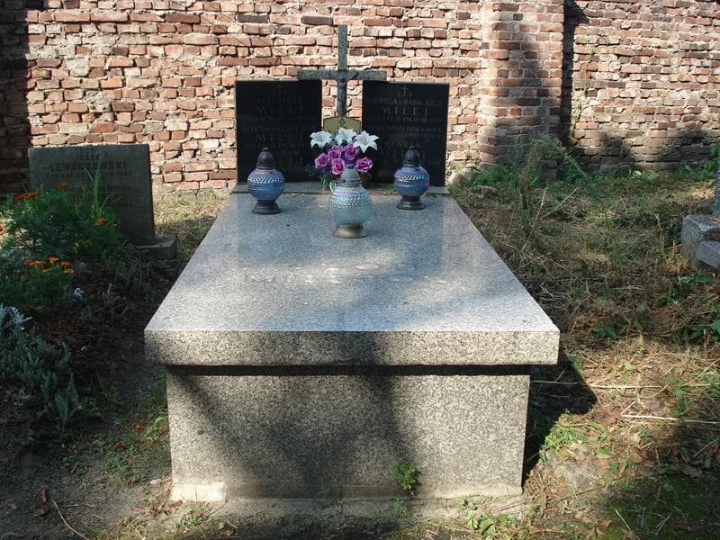 Zdjęcie grobu Henryk Milej (1)