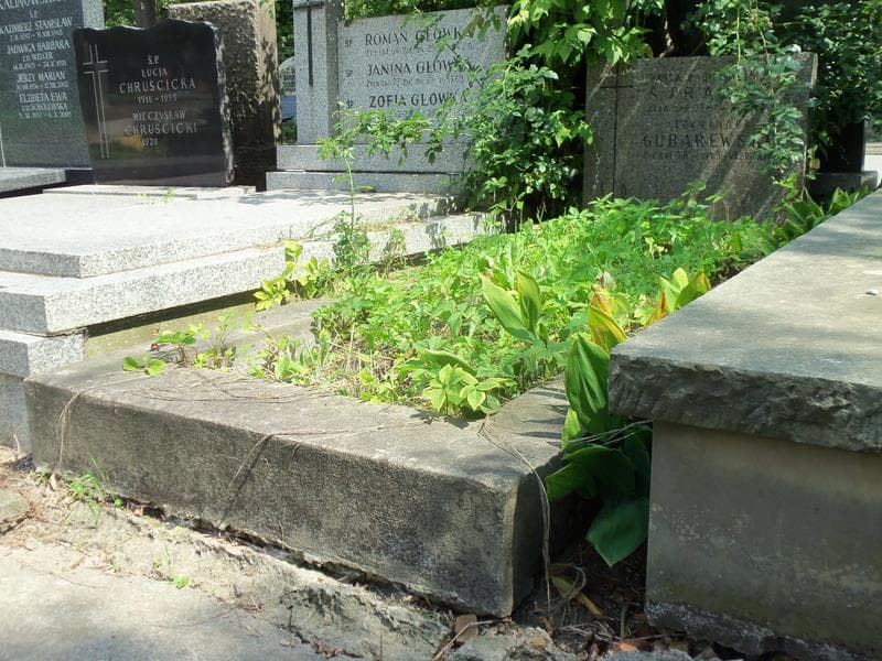 Zdjęcie grobu Wanda Strauss (1)
