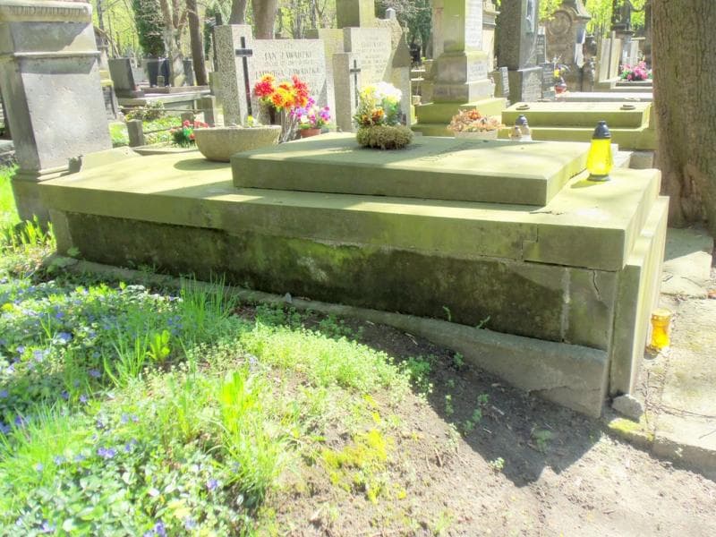 Zdjęcie grobu Luboińscy (1)