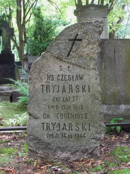 Zdjęcie grobu Eugeniusz Tryjarski (2)