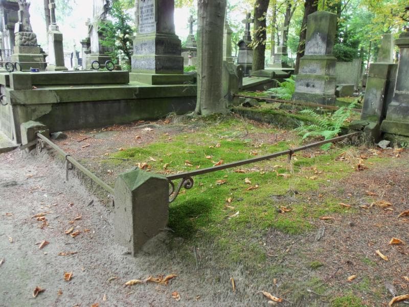 Zdjęcie grobu Władysław Piechowski (1)