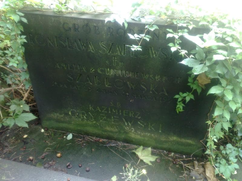 Zdjęcie grobu Kazimierz Gryżewski (2)