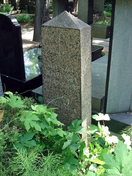 Zdjęcie grobu Władysława Jurczyńska (1)