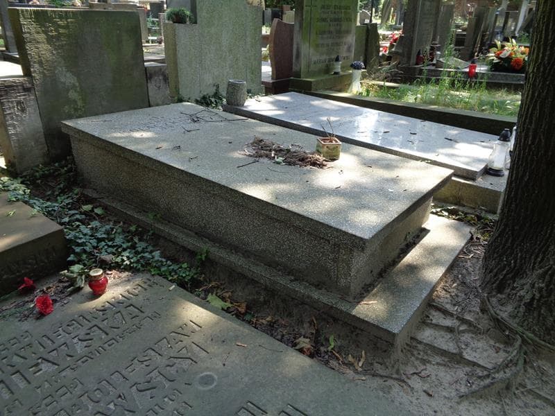 Zdjęcie grobu: Henryka Kołaczkowska