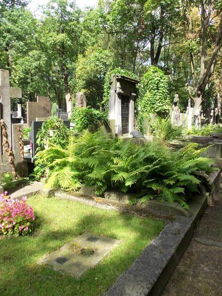 Zdjęcie grobu Tadeusz Borkowski (1)