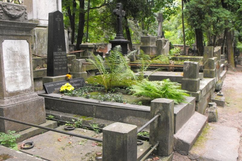 Zdjęcie grobu Albina Kuleszyńska (1)