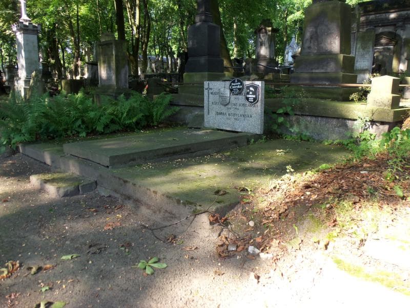 Zdjęcie grobu Władysława Pfeffer (1)