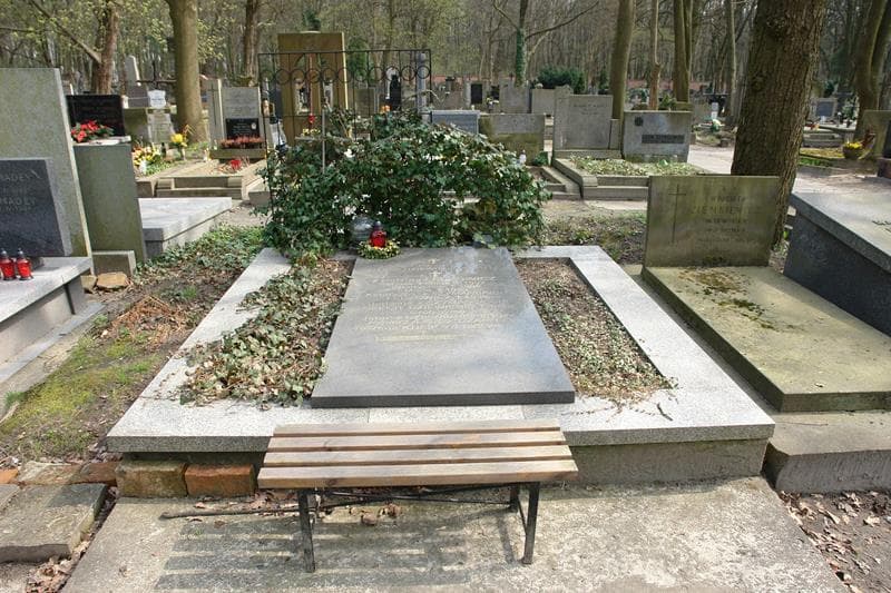 Zdjęcie grobu: Jadwiga Olech Dziewienis