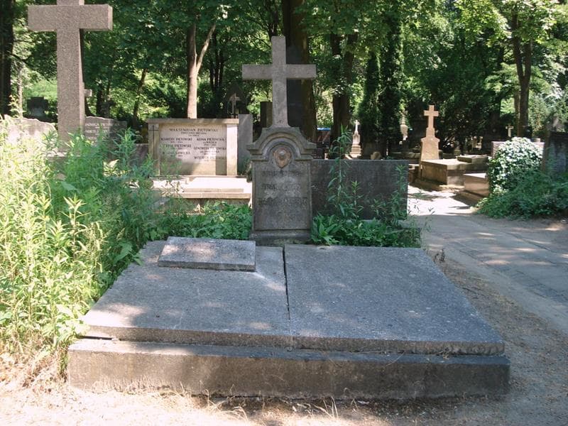 Zdjęcie grobu Alicja Piechna (1)