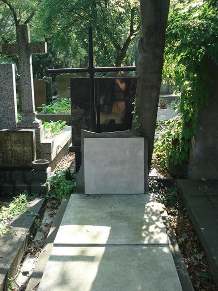 Zdjęcie grobu Kazimierz Orłowski (2)