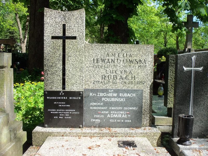 Zdjęcie grobu Amelia Lewandowska (2)