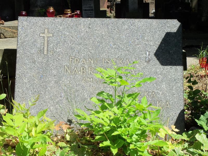 Zdjęcie grobu Muszka Nabrzycka (2)