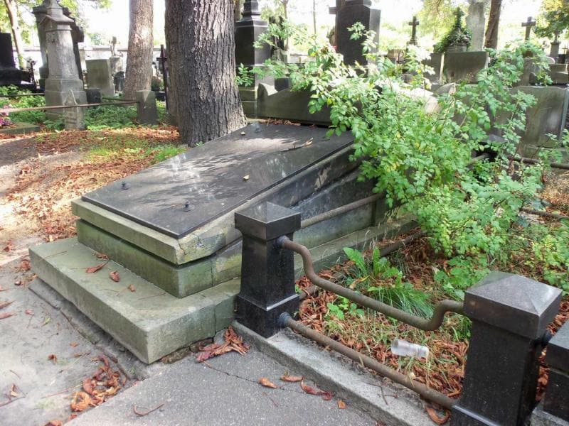 Zdjęcie grobu Brodzcy (1)