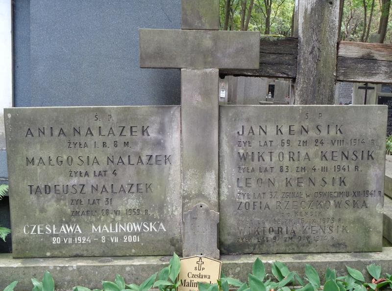 Zdjęcie grobu Zofia Rzeczkowska (2)