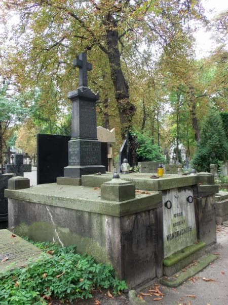 Zdjęcie grobu Wiktor Odrowąż Waligórski (1)