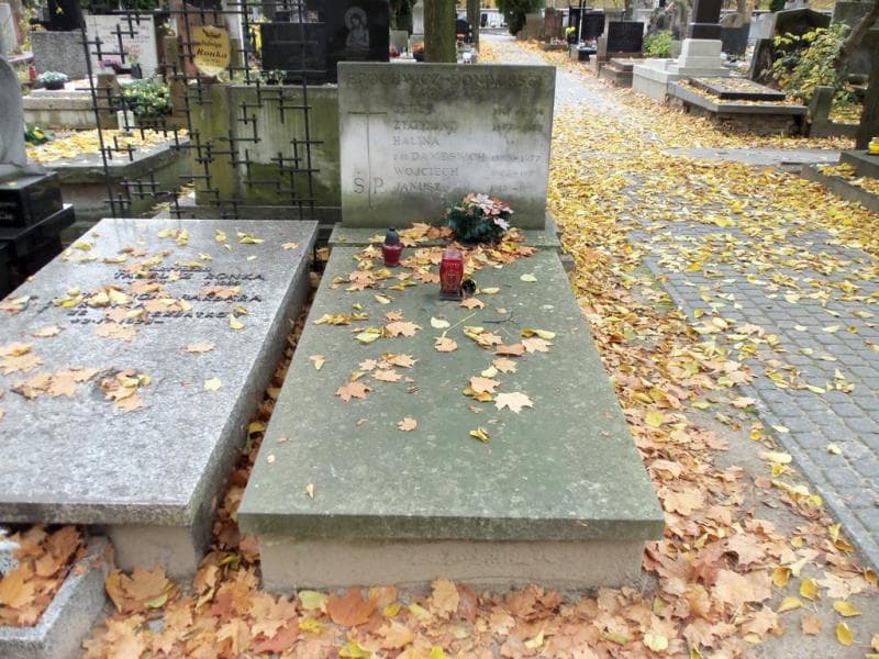Zdjęcie grobu: Halina Brochwicz-Donimirska