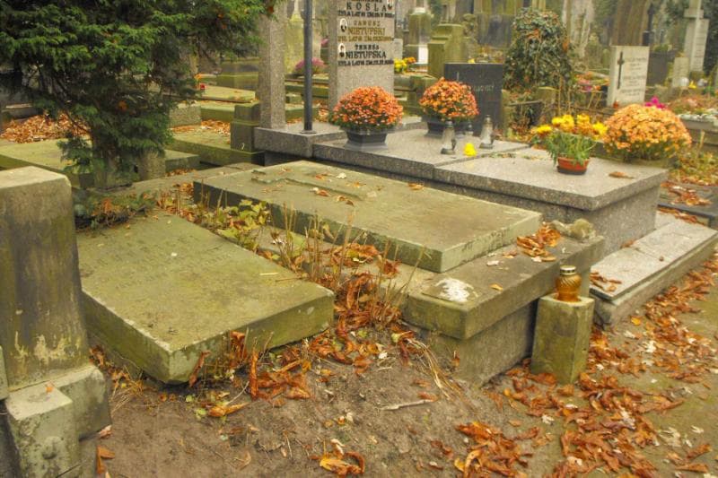 Zdjęcie grobu Bergsonowie (1)
