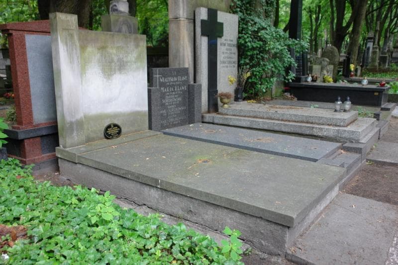 Zdjęcie grobu Kamil Anastazy Dobrzański (1)