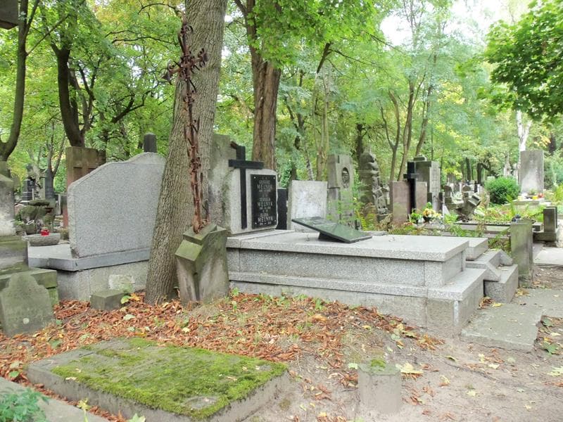 Zdjęcie grobu Józef Niedźwiecki (1)
