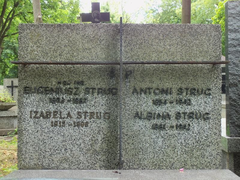 Zdjęcie grobu Antoni Strug (2)
