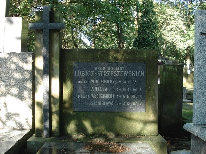 Zdjęcie grobu Włodzimierz Lubicz-Strzeszewski (2)