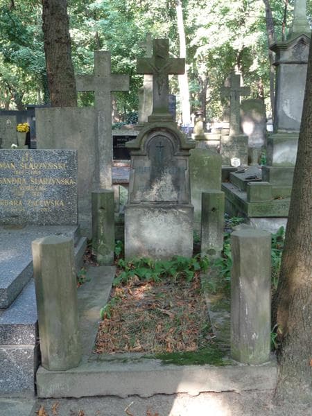 Zdjęcie grobu Antoni Mędrecki (1)