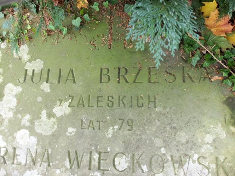 Zdjęcie grobu Julia Brzeska (2)