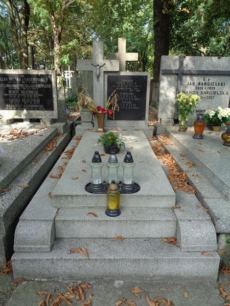 Zdjęcie grobu Stanisława Stępień (1)