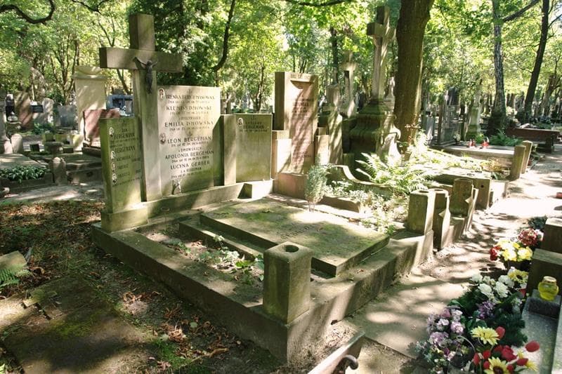 Zdjęcie grobu: Klemens Dmowski