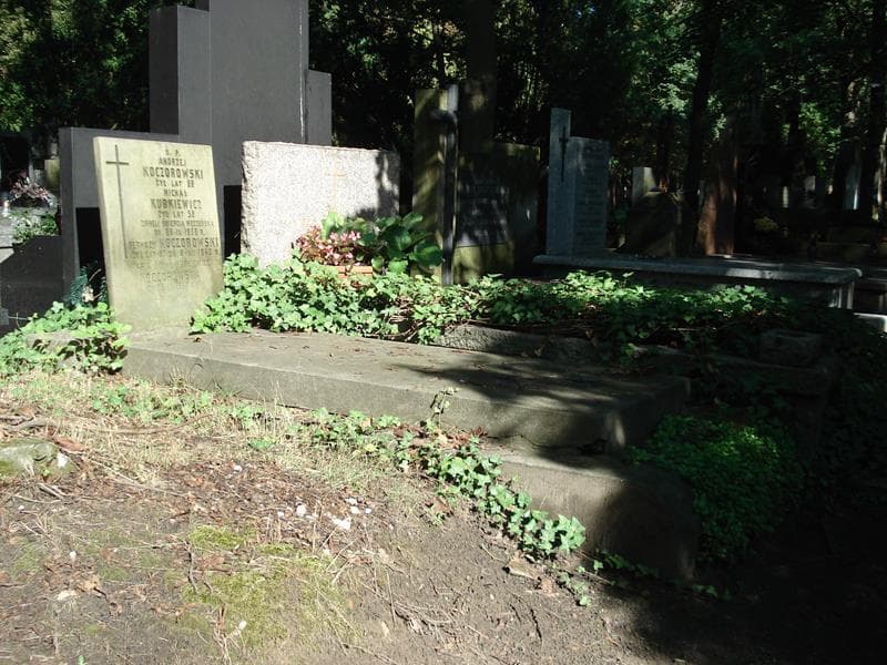 Zdjęcie grobu Andrzej Koczorowski (1)