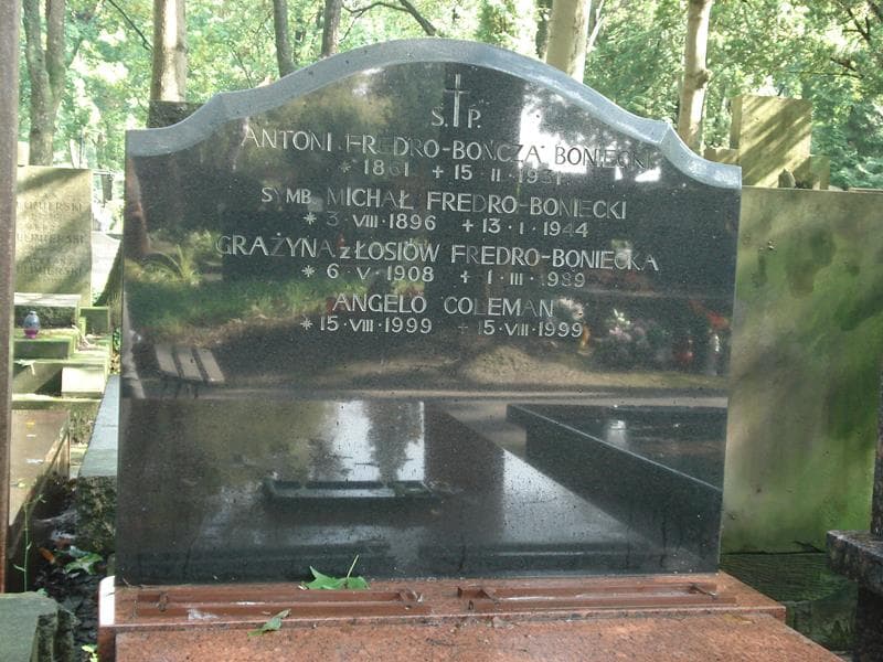 Zdjęcie grobu Michał Fredro-Boniecki (2)