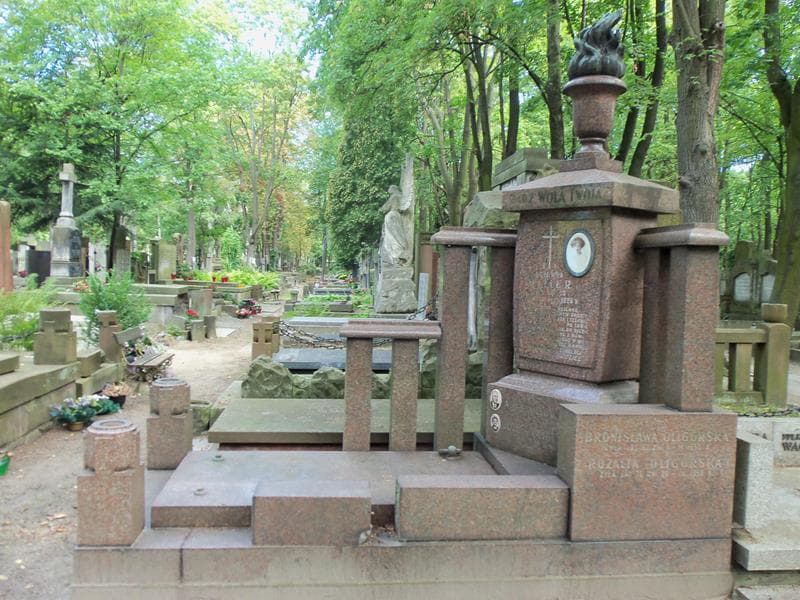 Zdjęcie grobu Rozalia Oligórska (1)