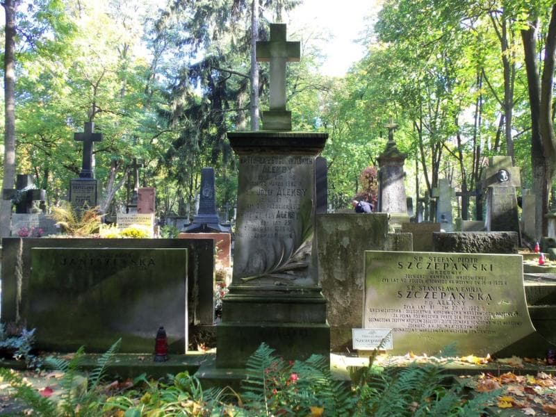 Zdjęcie grobu Edward Janiszewski (2)
