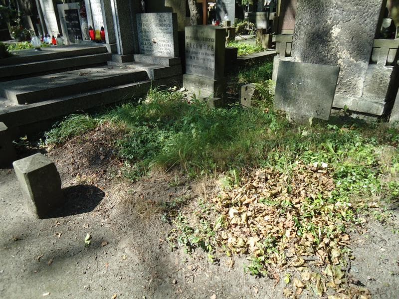 Zdjęcie grobu Apolinary Krzaczyński (1)