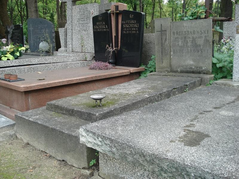 Zdjęcie grobu Stefan Orzeszkowski (1)