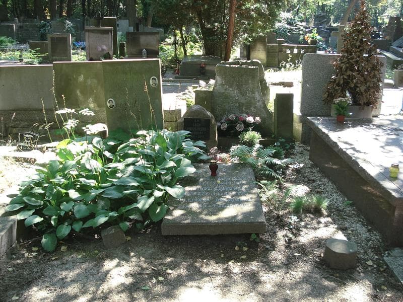 Zdjęcie grobu: Eugeniusz Bujnowski