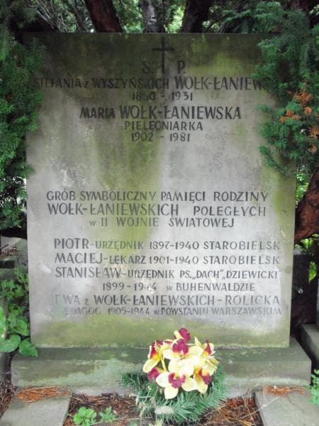 Zdjęcie grobu Maciej Wołk-Łaniewski (2)