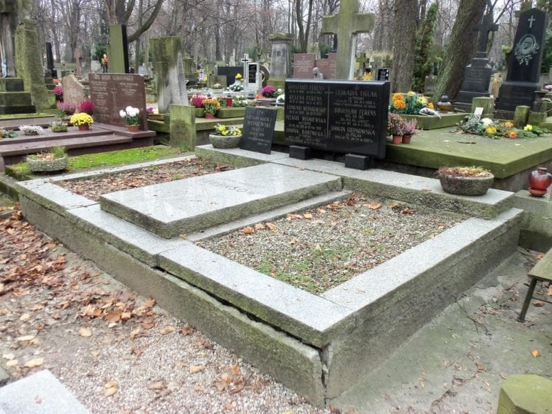 Zdjęcie grobu Janina Bartnicka (1)