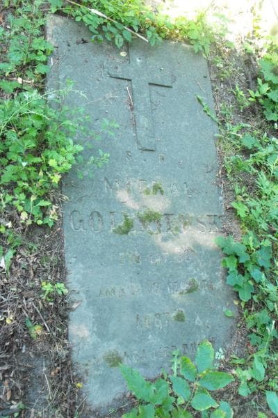 Zdjęcie grobu Michał Goleniewski (2)