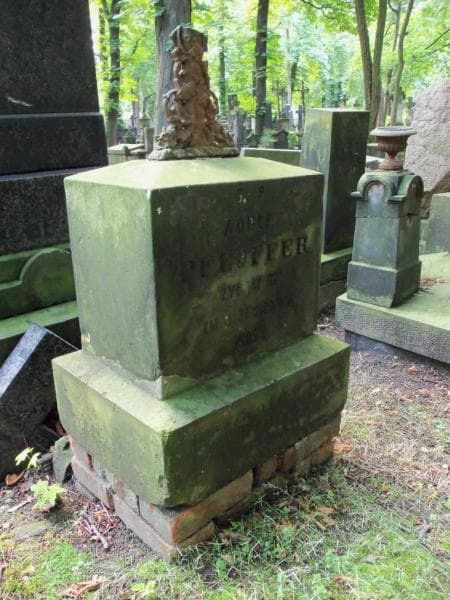 Zdjęcie grobu Adolf Pfejffer (1)