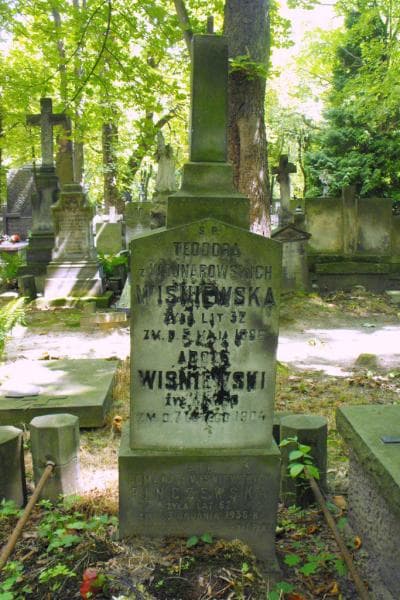 Zdjęcie grobu Romana Pinczewska (1)