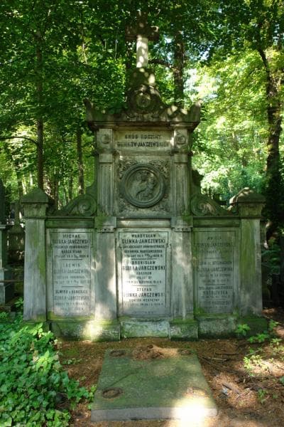 Zdjęcie grobu Teodor Wróblewski (2)