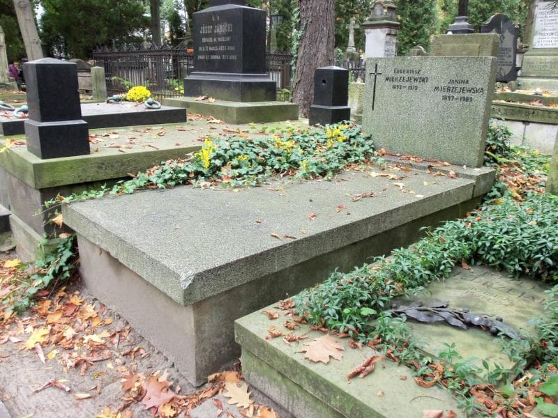 Zdjęcie grobu Janina Mierzejewska (1)