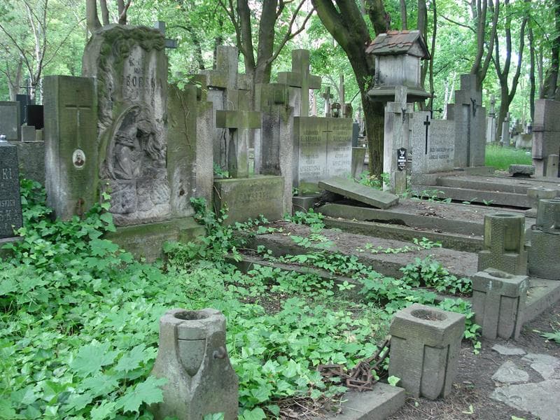 Zdjęcie grobu Marja Oborska (1)