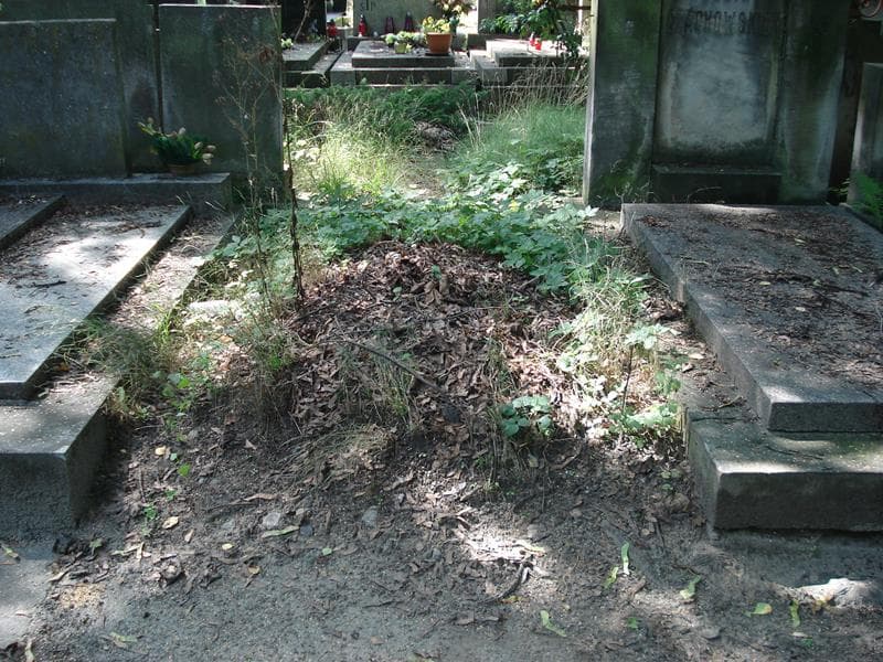 Zdjęcie grobu: Pole Grobowe