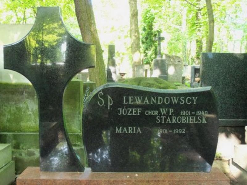 Zdjęcie grobu Józef Lewandowski (2)