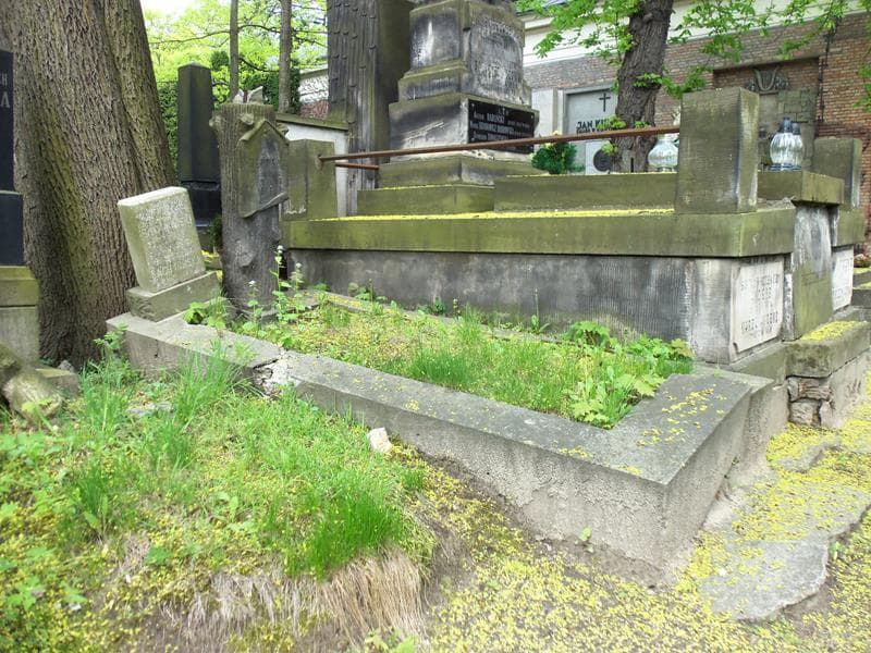 Zdjęcie grobu Michalina Wołowska (1)