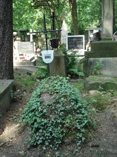 Zdjęcie grobu: Franciszka Humel