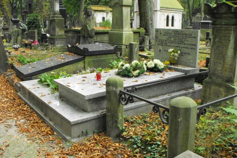 Zdjęcie grobu Wacław Ligęza-Niewiarowski (1)