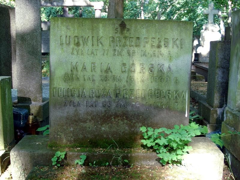 Zdjęcie grobu Maria Górska (1)